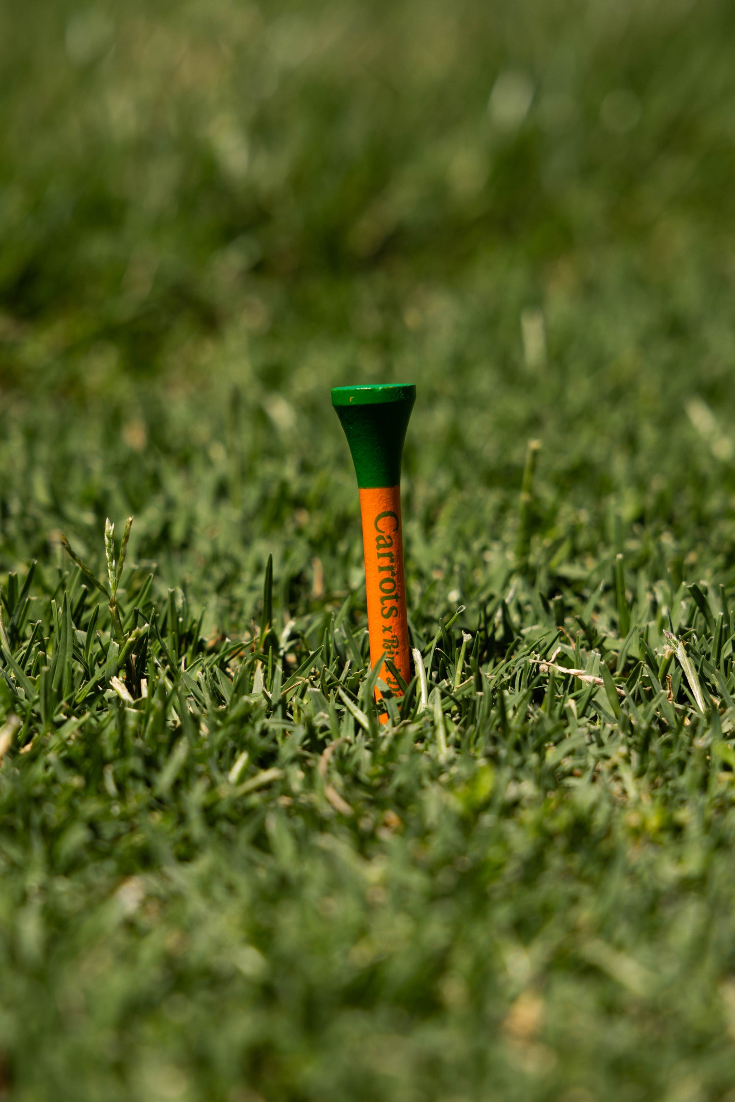 Carrots by Anwar x Bird Darts Fresh Picked Tee Packs