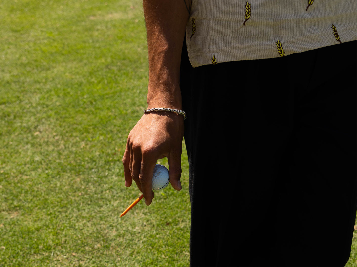 Carrots by Anwar x Bird Darts Fresh Picked Tee Packs