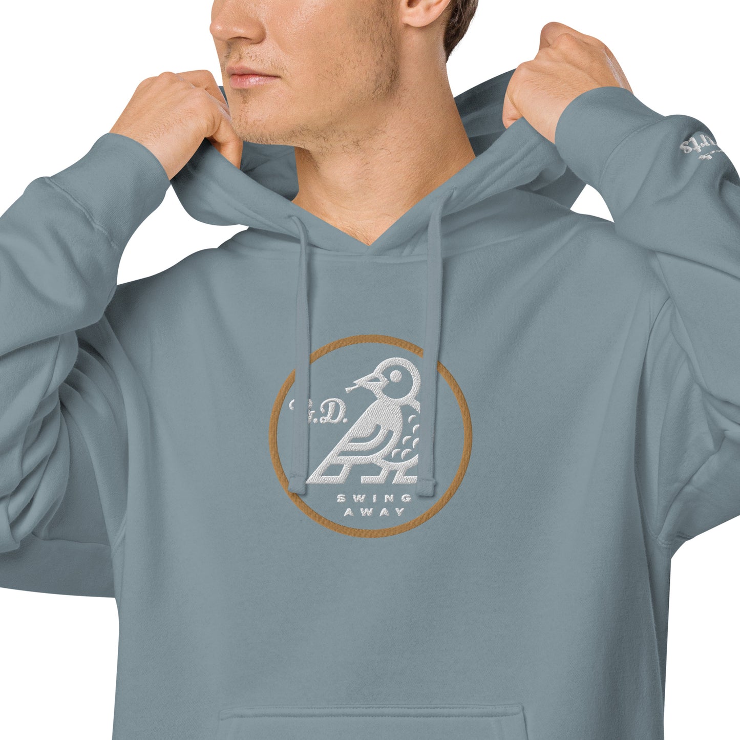 Bird Darts Washed Up Hoodie